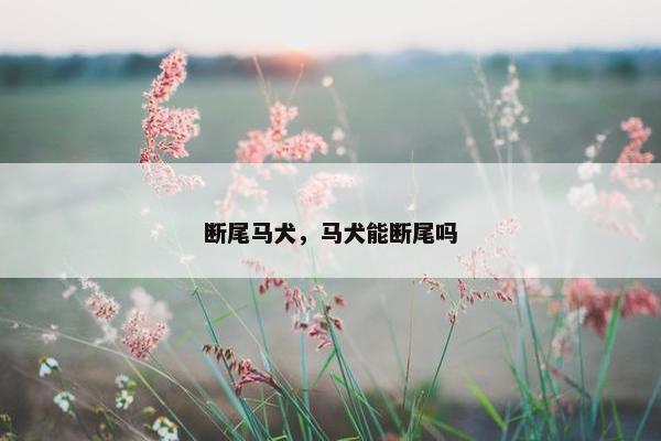 断尾马犬，马犬能断尾吗