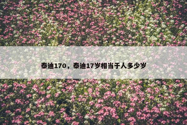 泰迪170，泰迪17岁相当于人多少岁