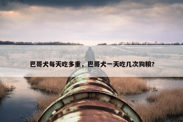 巴哥犬每天吃多重，巴哥犬一天吃几次狗粮?