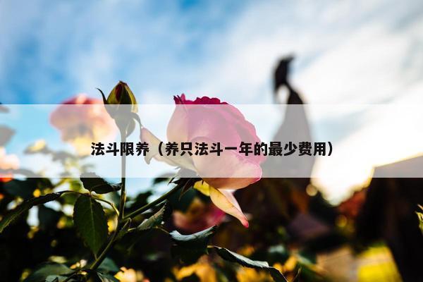 法斗限养（养只法斗一年的最少费用）