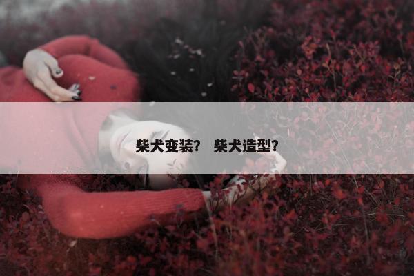 柴犬变装？ 柴犬造型？