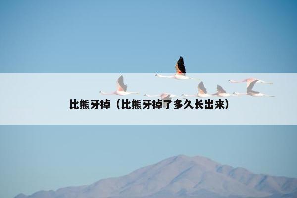 比熊牙掉（比熊牙掉了多久长出来）