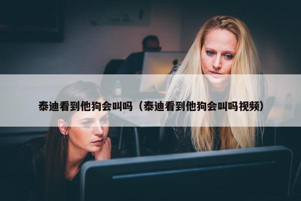 泰迪看到他狗会叫吗（泰迪看到他狗会叫吗视频）