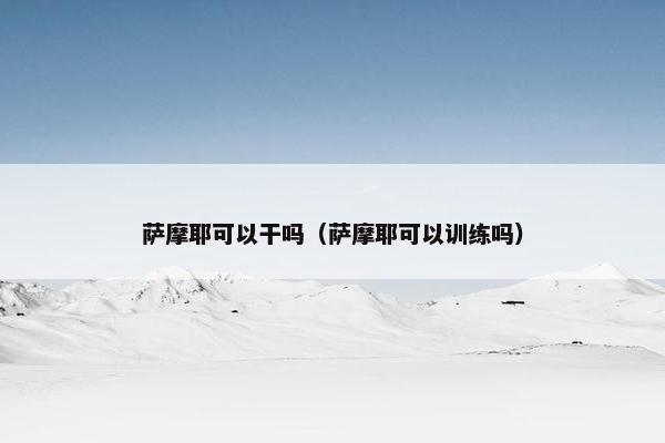 萨摩耶可以干吗（萨摩耶可以训练吗）