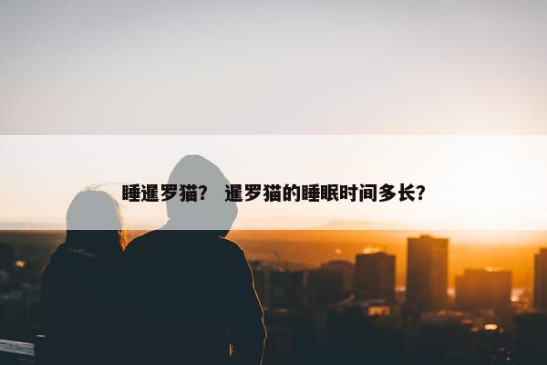 睡暹罗猫？ 暹罗猫的睡眠时间多长？