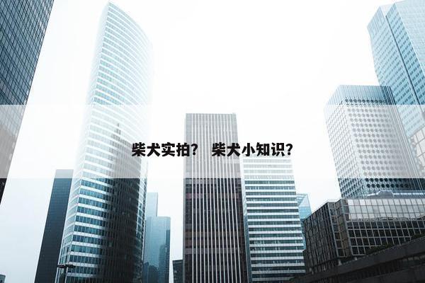 柴犬实拍？ 柴犬小知识？