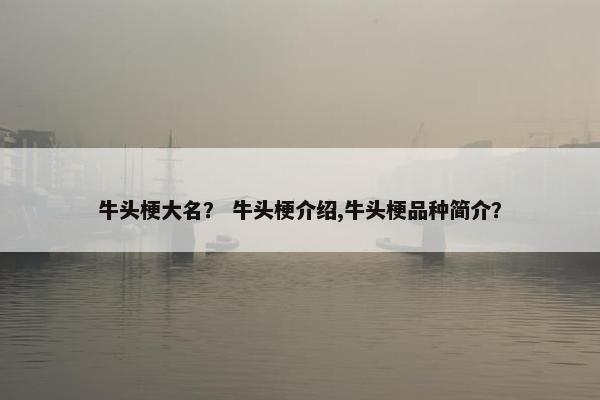 牛头梗大名？ 牛头梗介绍,牛头梗品种简介？