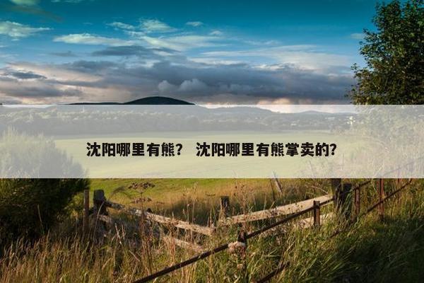 沈阳哪里有熊？ 沈阳哪里有熊掌卖的？