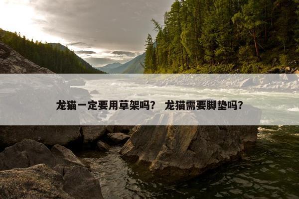 龙猫一定要用草架吗？ 龙猫需要脚垫吗？
