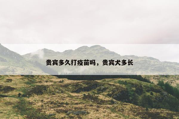 贵宾多久打疫苗吗，贵宾犬多长