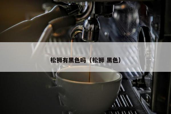 松狮有黑色吗（松狮 黑色）