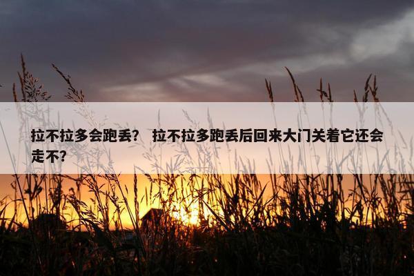 拉不拉多会跑丢？ 拉不拉多跑丢后回来大门关着它还会走不？