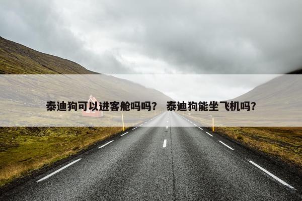 泰迪狗可以进客舱吗吗？ 泰迪狗能坐飞机吗？