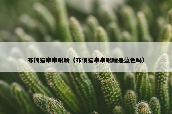 布偶猫串串眼睛（布偶猫串串眼睛是蓝色吗）