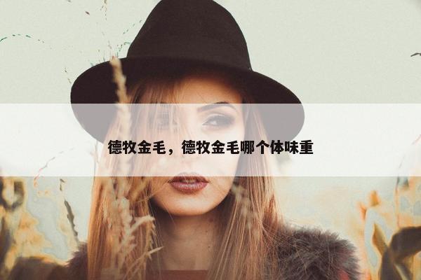 德牧金毛，德牧金毛哪个体味重