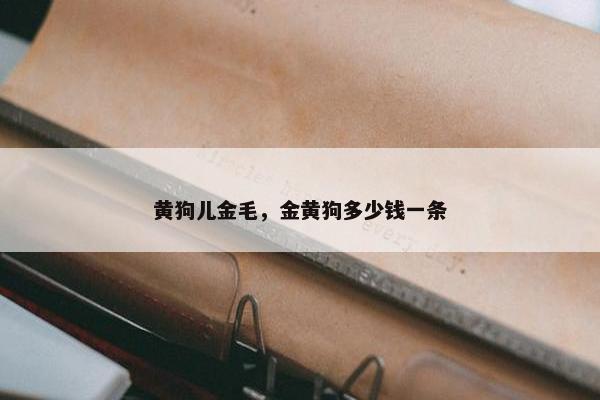 黄狗儿金毛，金黄狗多少钱一条