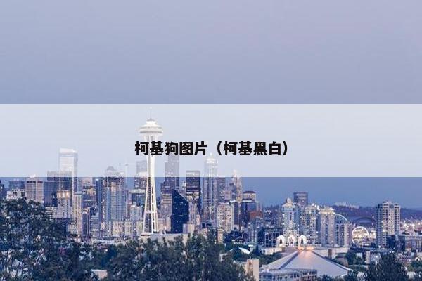 柯基狗图片（柯基黑白）