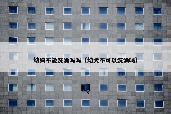 幼狗不能洗澡吗吗（幼犬不可以洗澡吗）
