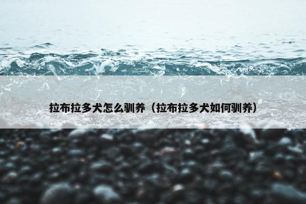 拉布拉多犬怎么驯养（拉布拉多犬如何驯养）