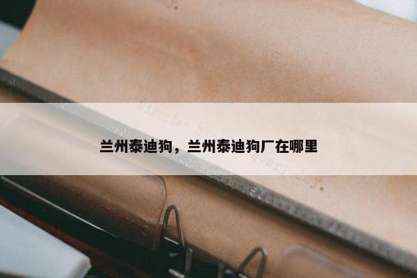 兰州泰迪狗，兰州泰迪狗厂在哪里