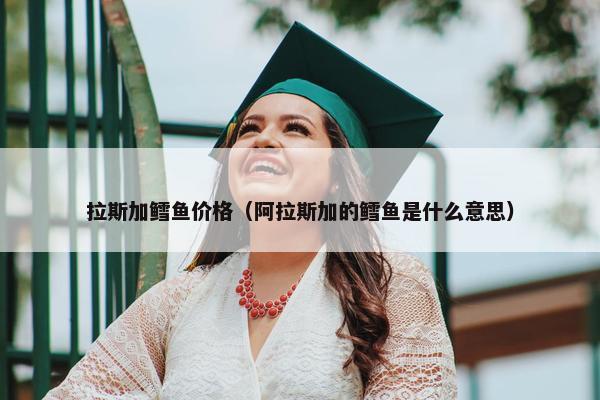 拉斯加鳕鱼价格（阿拉斯加的鳕鱼是什么意思）