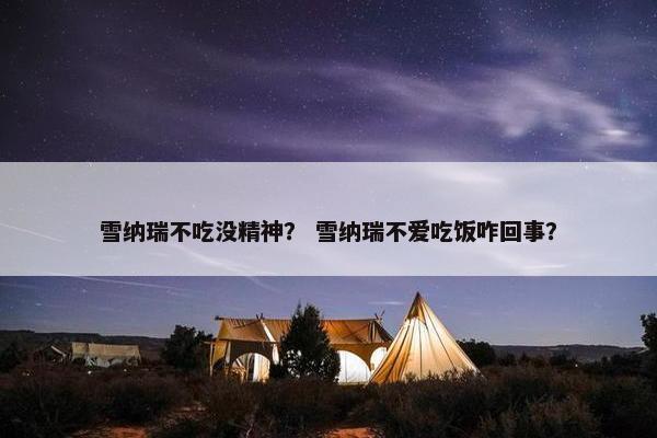 雪纳瑞不吃没精神？ 雪纳瑞不爱吃饭咋回事？