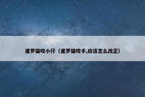 暹罗猫咬小仔（暹罗猫咬手,应该怎么改正）