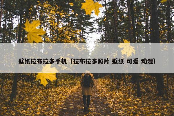 壁纸拉布拉多手机（拉布拉多照片 壁纸 可爱 动漫）