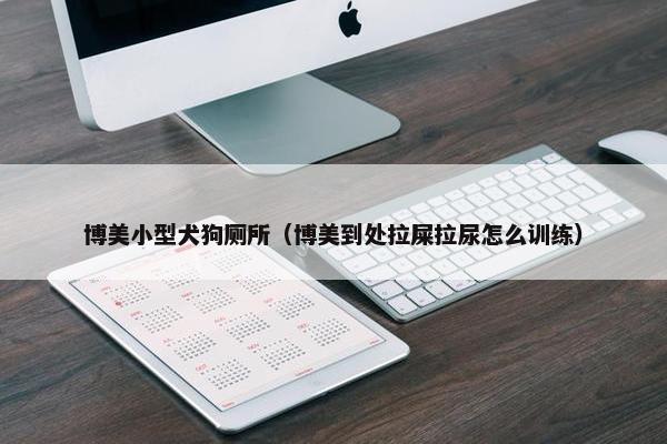博美小型犬狗厕所（博美到处拉屎拉尿怎么训练）