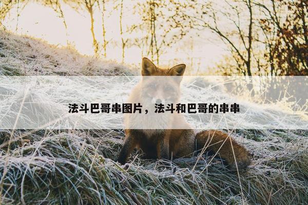 法斗巴哥串图片，法斗和巴哥的串串