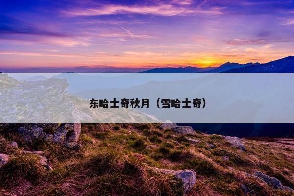 东哈士奇秋月（雪哈士奇）