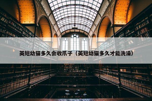 英短幼猫多久会收爪子（英短幼猫多久才能洗澡）