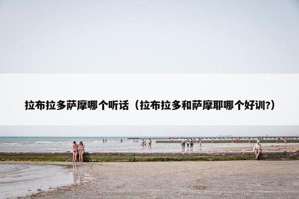 拉布拉多萨摩哪个听话（拉布拉多和萨摩耶哪个好训?）