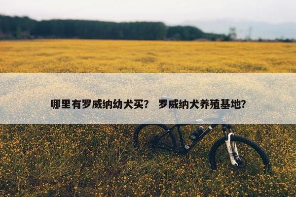 哪里有罗威纳幼犬买？ 罗威纳犬养殖基地？