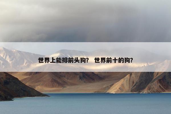 世界上能排前头狗？ 世界前十的狗？