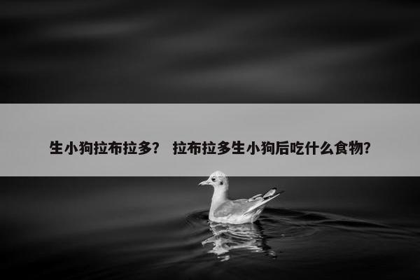 生小狗拉布拉多？ 拉布拉多生小狗后吃什么食物？