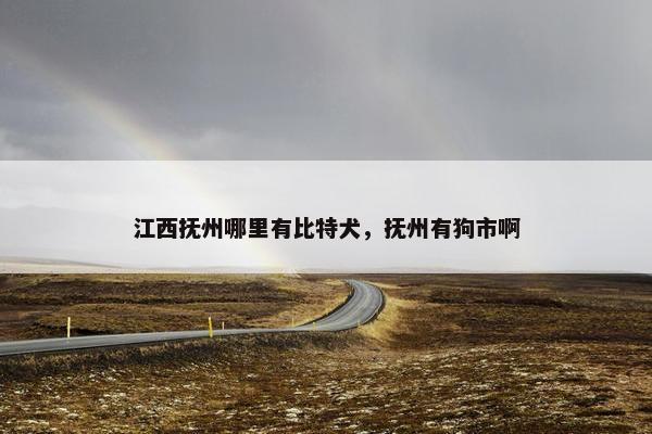江西抚州哪里有比特犬，抚州有狗市啊