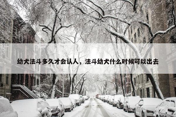 幼犬法斗多久才会认人，法斗幼犬什么时候可以出去