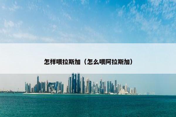 怎样喂拉斯加（怎么喂阿拉斯加）