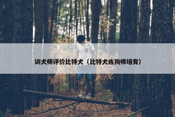训犬师评价比特犬（比特犬练狗师培育）