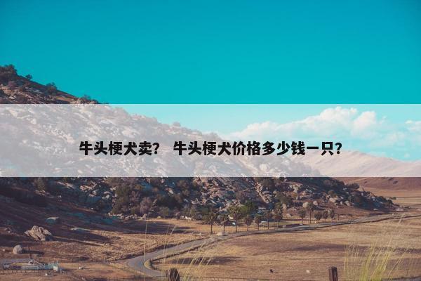 牛头梗犬卖？ 牛头梗犬价格多少钱一只？