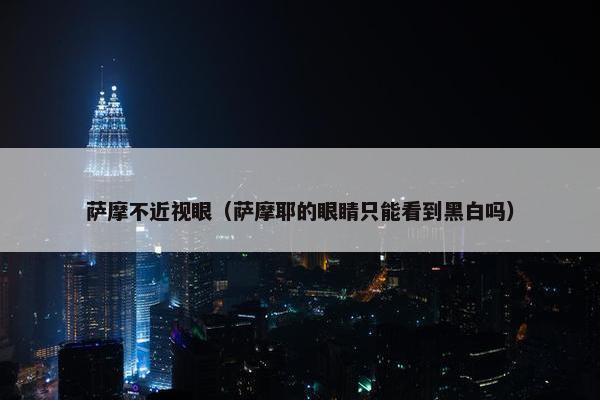 萨摩不近视眼（萨摩耶的眼睛只能看到黑白吗）