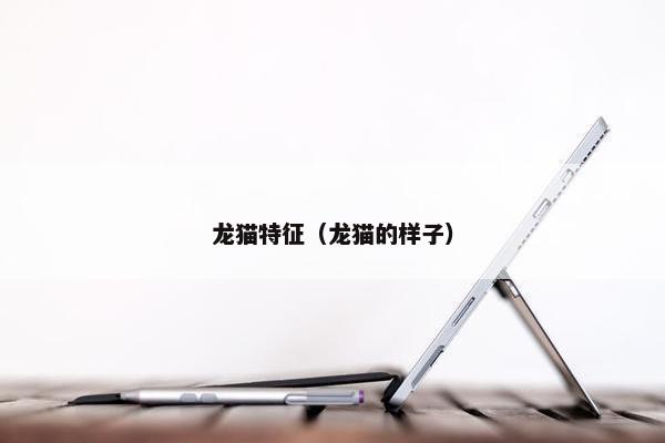 龙猫特征（龙猫的样子）