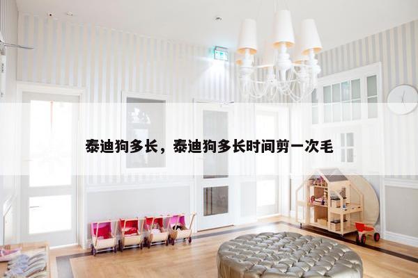 泰迪狗多长，泰迪狗多长时间剪一次毛