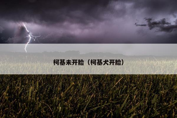 柯基未开脸（柯基犬开脸）