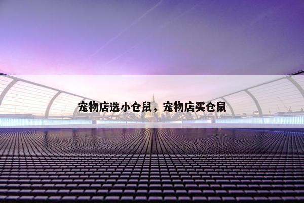 宠物店选小仓鼠，宠物店买仓鼠