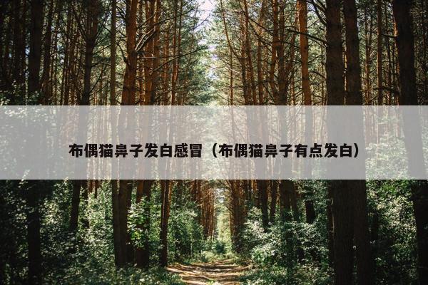 布偶猫鼻子发白感冒（布偶猫鼻子有点发白）
