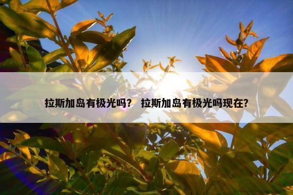 拉斯加岛有极光吗？ 拉斯加岛有极光吗现在？