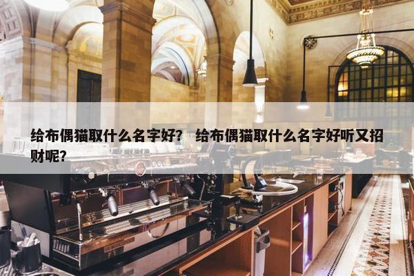 给布偶猫取什么名字好？ 给布偶猫取什么名字好听又招财呢？