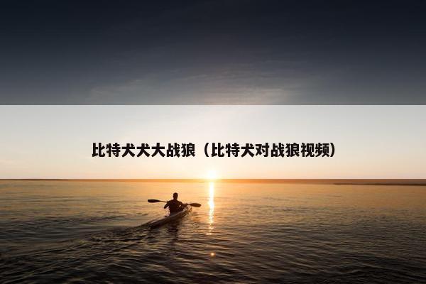 比特犬犬大战狼（比特犬对战狼视频）
